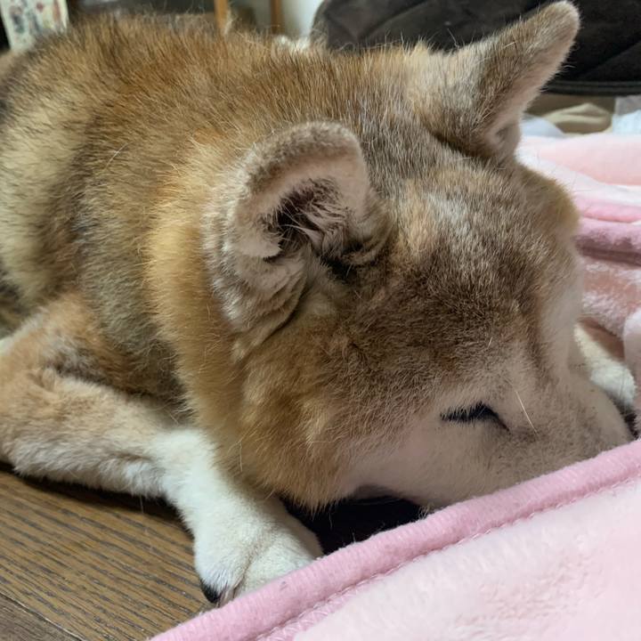 Aab02bc1 68ab 4b0c b72b 1c68ccc5b808 1691018652282