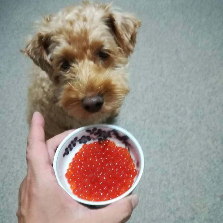 Aab05ad6 6234 433d 8136 4c64829ec726 1569668223679