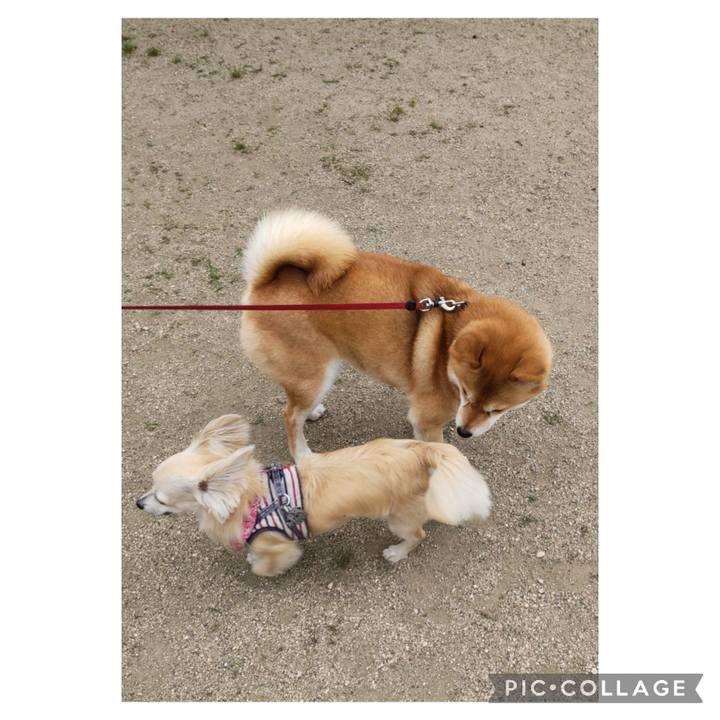 Aab0a57a d798 43eb 884d b6f48fc4bae5 1685308043688