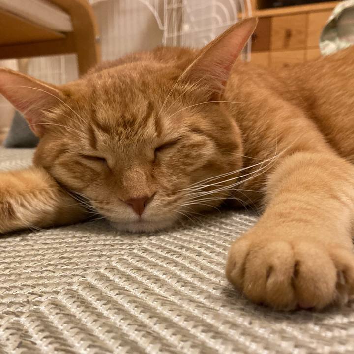 Aab15b62 2efe 4f5f bfc2 f89797f14973 1763120320595