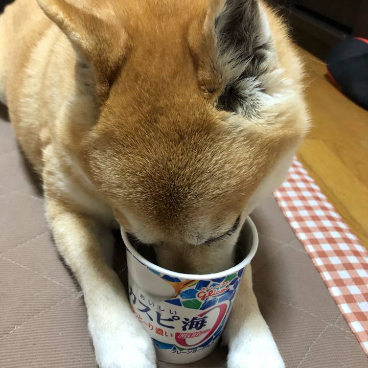 Aab175c1 d2c2 458d ad85 9d9234be5849 1555569392557