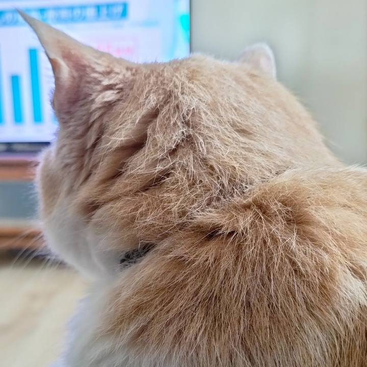 Aab1ad7d 82bf 400a be13 99862f946b7b 1687731898631