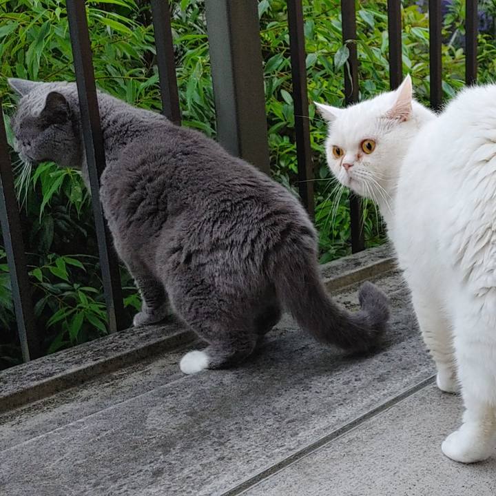 Aab2018e 9fba 4288 b80e 9664f40007a5 1655373402118