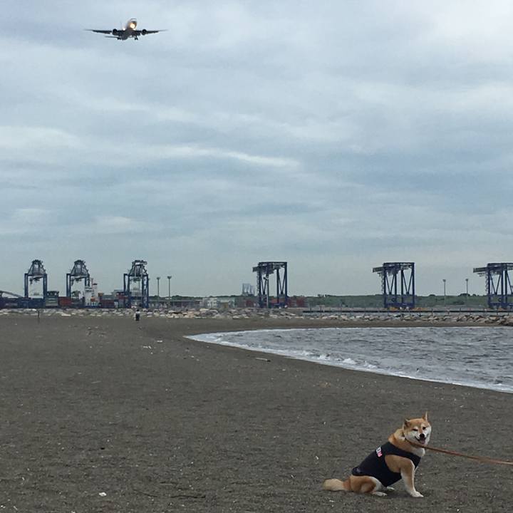 Aab218b2 a2a5 4746 8317 c8645b59a955 1561628133007