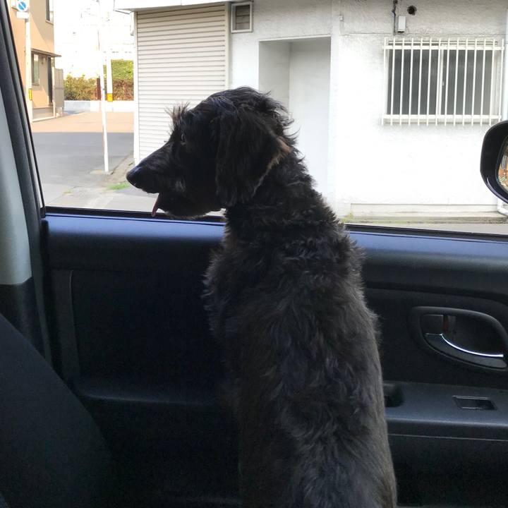 Aab22082 a1c0 45d8 806b 413e7f13757a 1564873536702