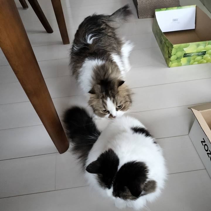 Aab22bf4 280f 40fb 9d8a 00c314dc6e20 1766283643631