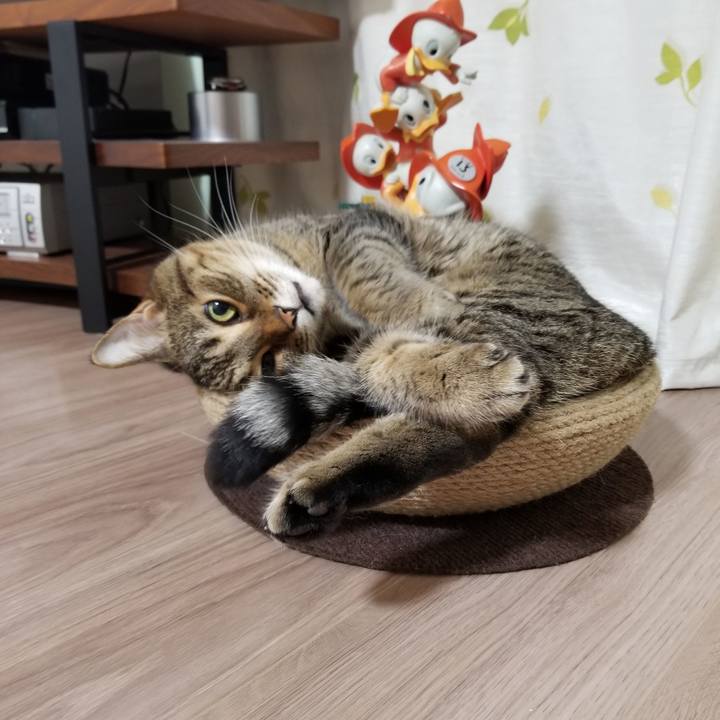 Aab240e1 4d2d 4fb2 9c8e 89ac263715d9 1598823649413