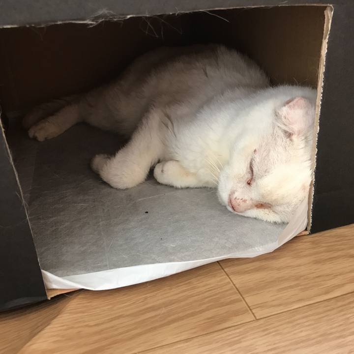 Aab25922 ff09 43ab a87d 8649d2023479 1564634374937