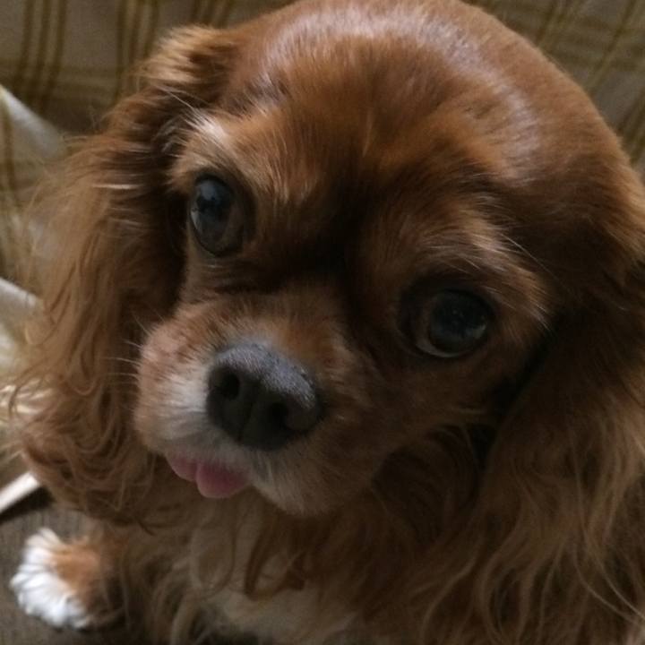 Aab26d20 f3c9 443e bdbf 4960a15b8ed4 1527251903638