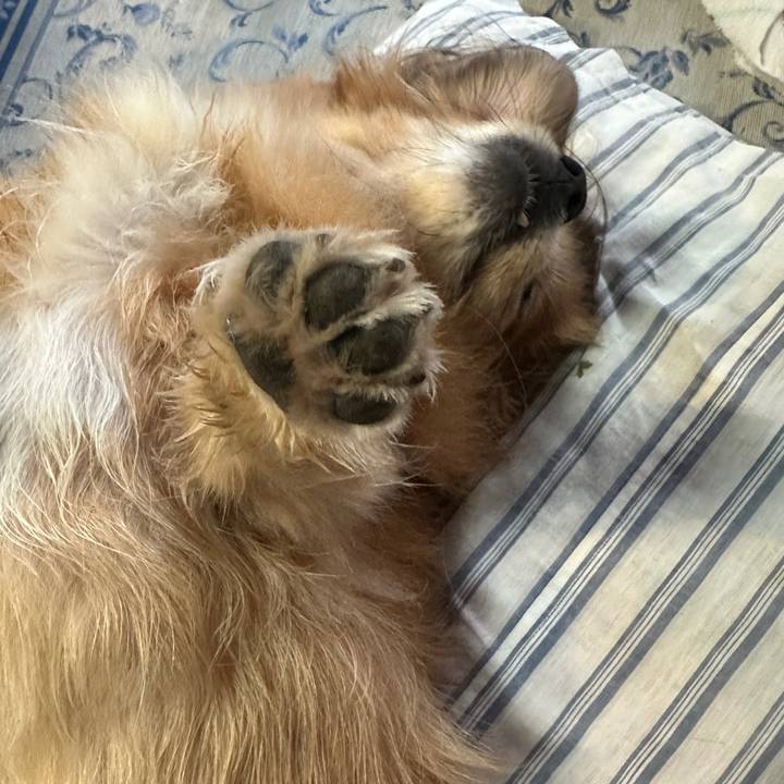 Aab28578 5408 49ef 8368 abdf039af819 1759354522717