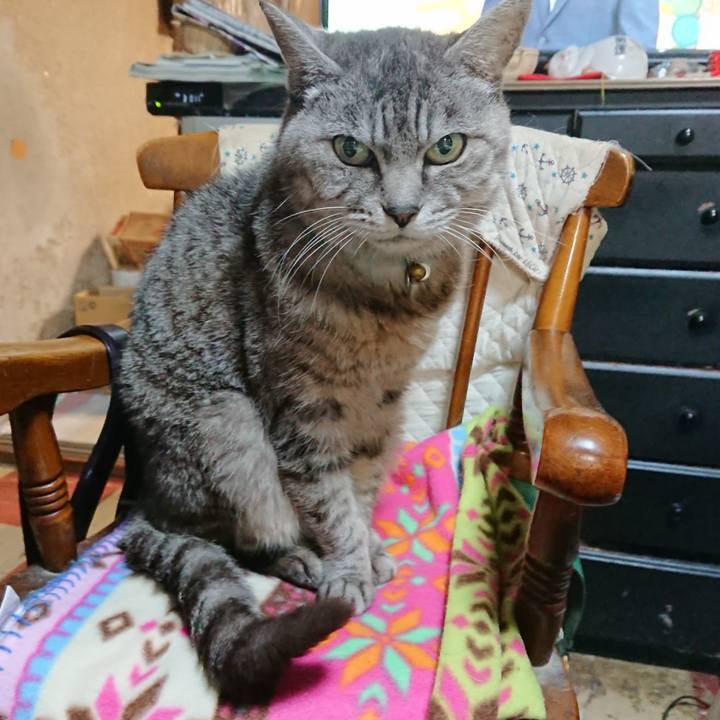 Aab2bf88 023d 4254 89a8 5017398b9a98 1570619447834