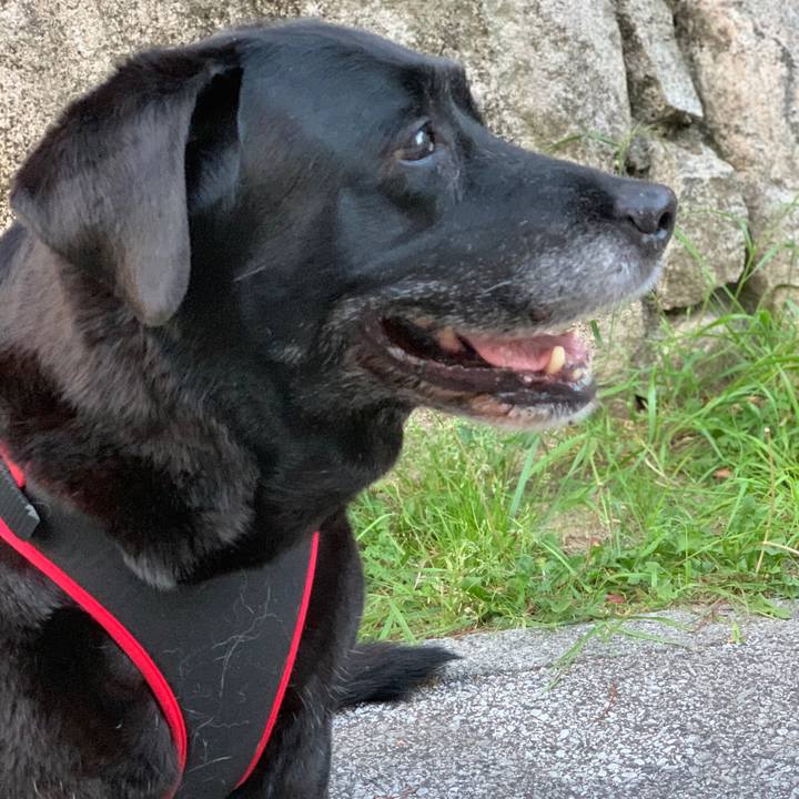 Aab2d76d be0e 4249 aa30 7590e3625658 1557830600670