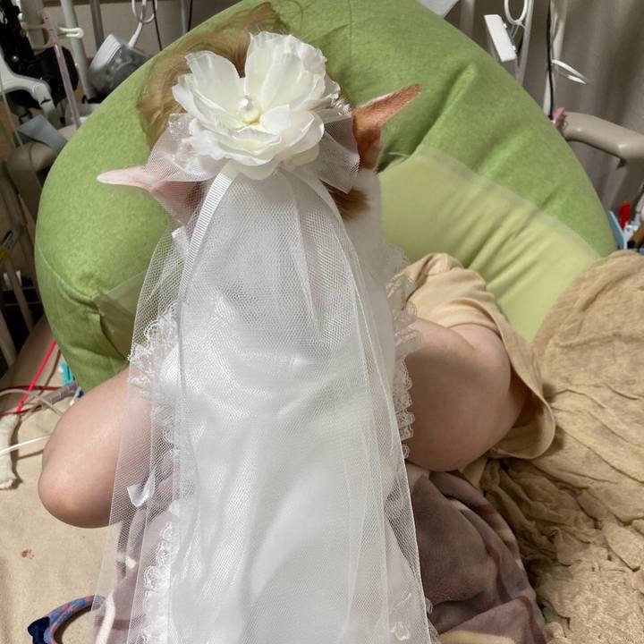 Aab2f570 48b1 4607 be57 81a550de2583 1768573609037