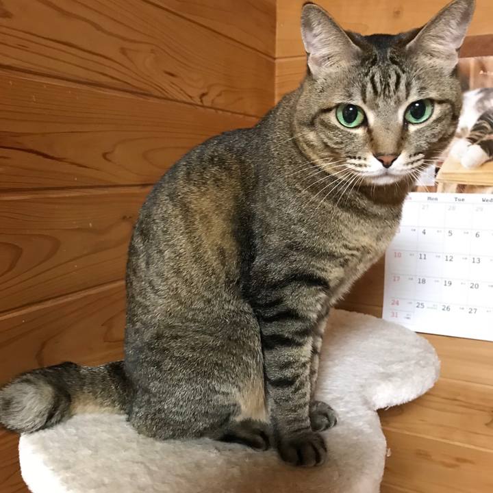 Aab31a6b 6d25 4e8e 8150 f3fd95ca64a0 1514020056343