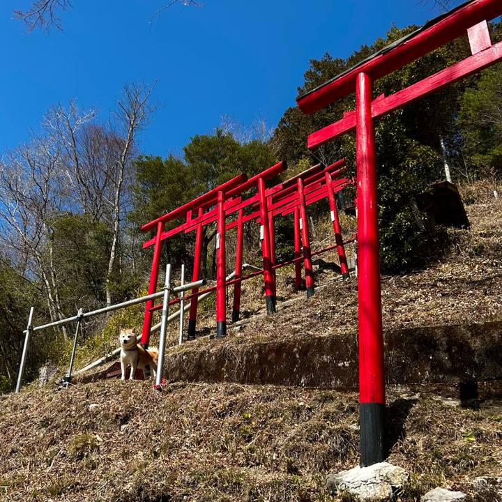 Aab373db 20b8 4864 9bb7 ce6c92b6226c 1773745243128