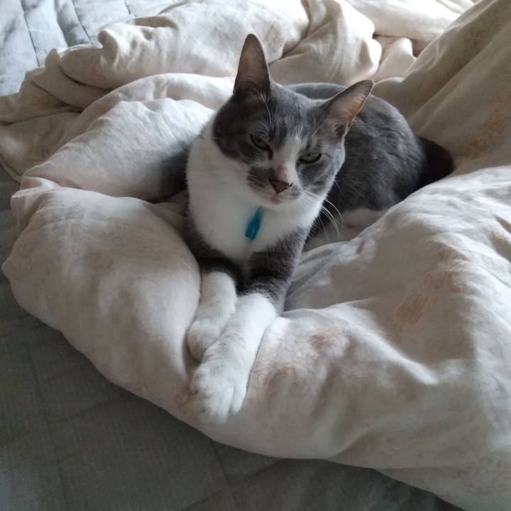 Aab3a733 e532 421f 8f2c ebaafed1e0ce 1620337422294