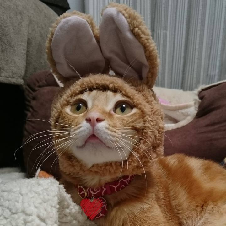 Aab3ac2c 8c23 4c16 934c d6eed7168d39 1632229793601