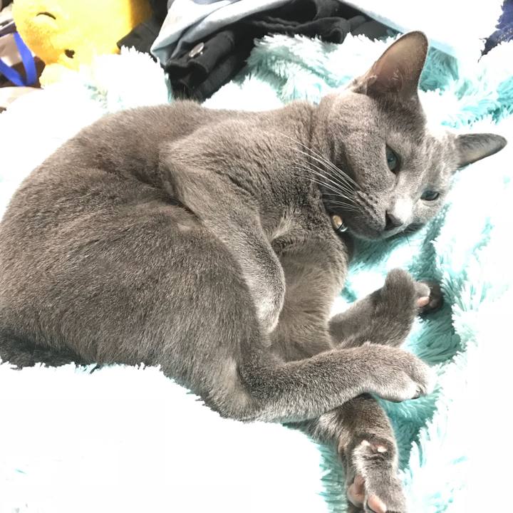 Aab3cf84 c2ec 4368 b16f 8c8f65f8dcbe 1508157122227