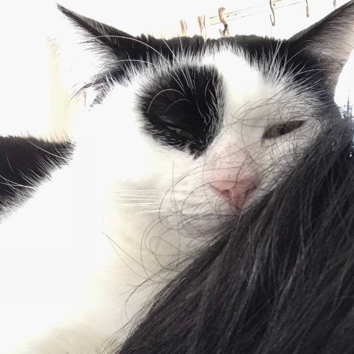 Aab40b9d f4d1 490f 8818 7c66cf414a5f 1517706605334