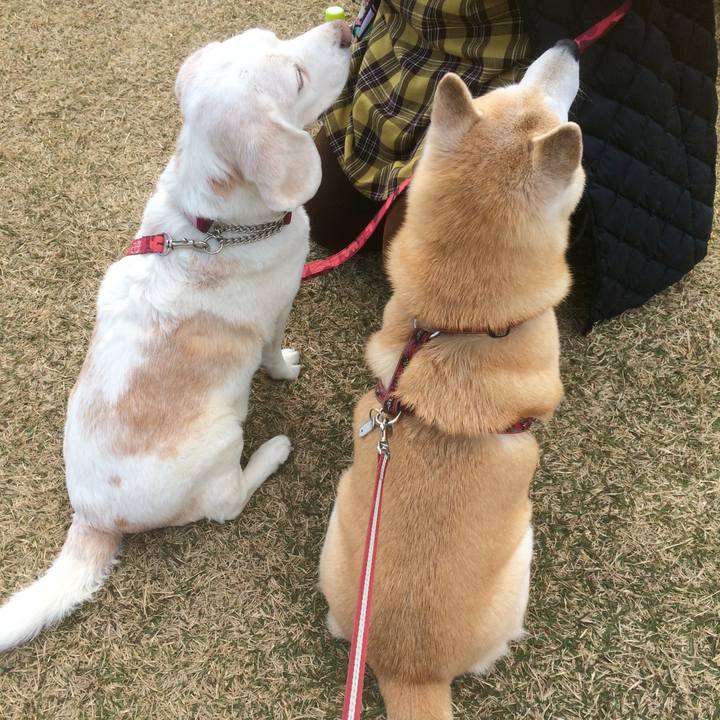 Aab40dbd e559 4a69 b15c 764f1268c8dc 1582560100381