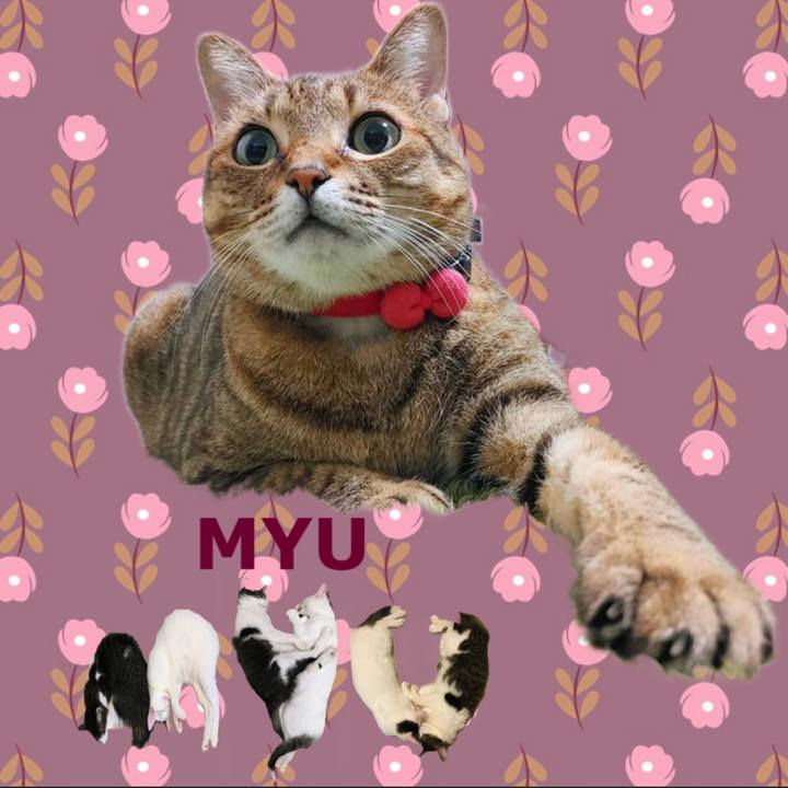 Aab43cab d727 404b 9bab 772a070e9e1f 1669764004062