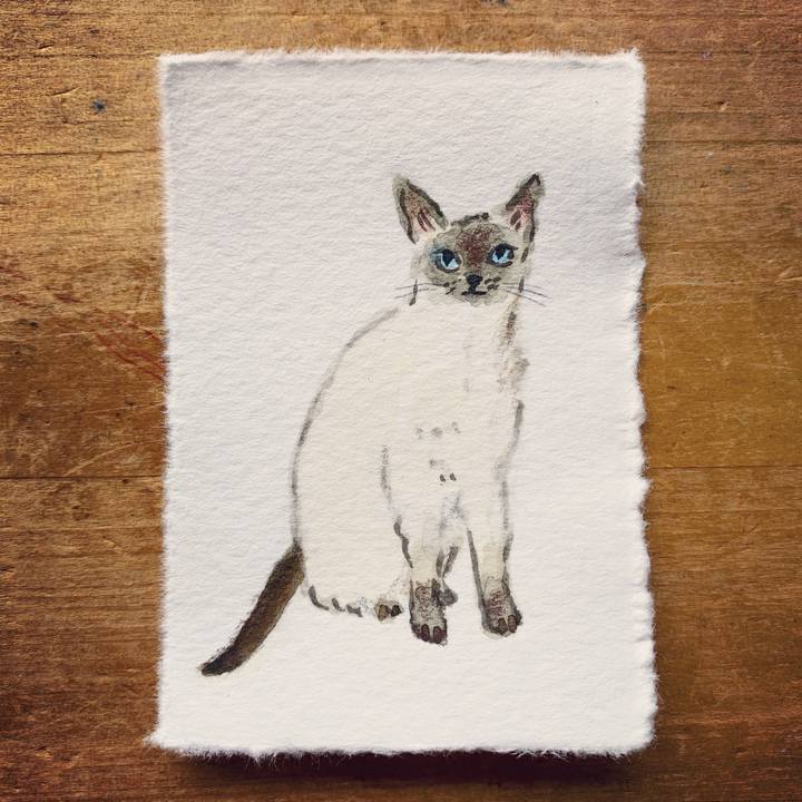 Aab4a02b 503e 4f68 98d5 9a5edc42645c 1622680472175