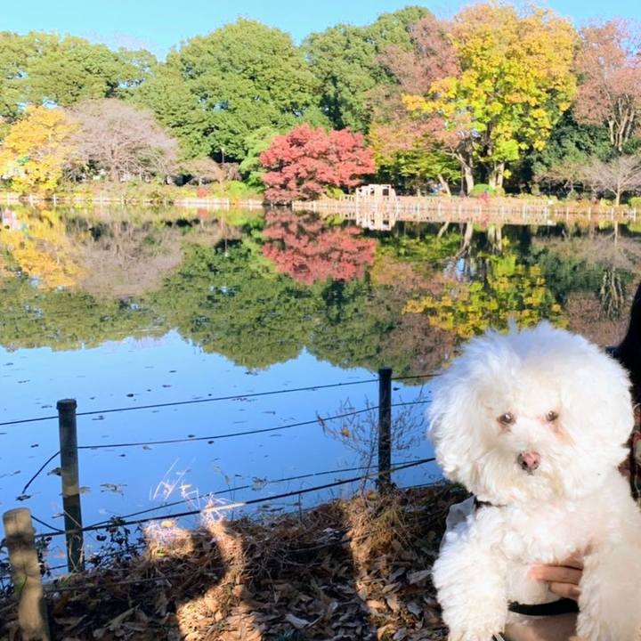 Aab4b433 b86f 4d2b 9c9e 642a77c2312d 1637895580818