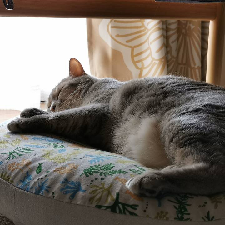 Aab5025f 2f5c 46bf 9ef0 af70b9068cbf 1659245150630