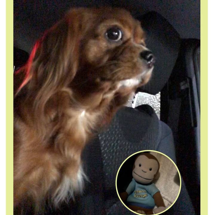 Aab50c0c ed41 46f3 b77b 371662350310 1551364302535