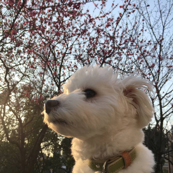 Aab50eb2 5ed8 4501 9e64 cd9ef21906b1 1552382035355