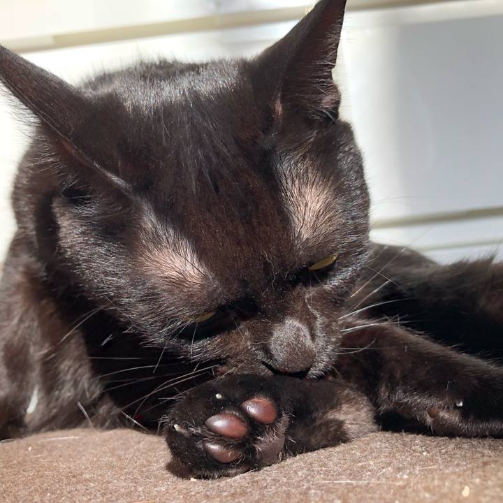 Aab515aa 8e6e 4264 be44 868e7d1a5287 1529739672802