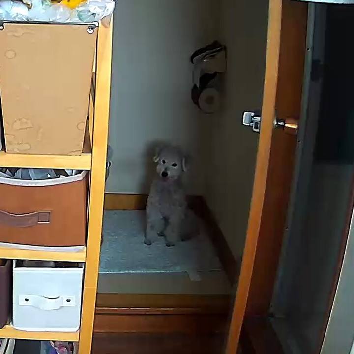 Aab517da a5ba 4721 8a5c 5b57300370c1 1578790799420