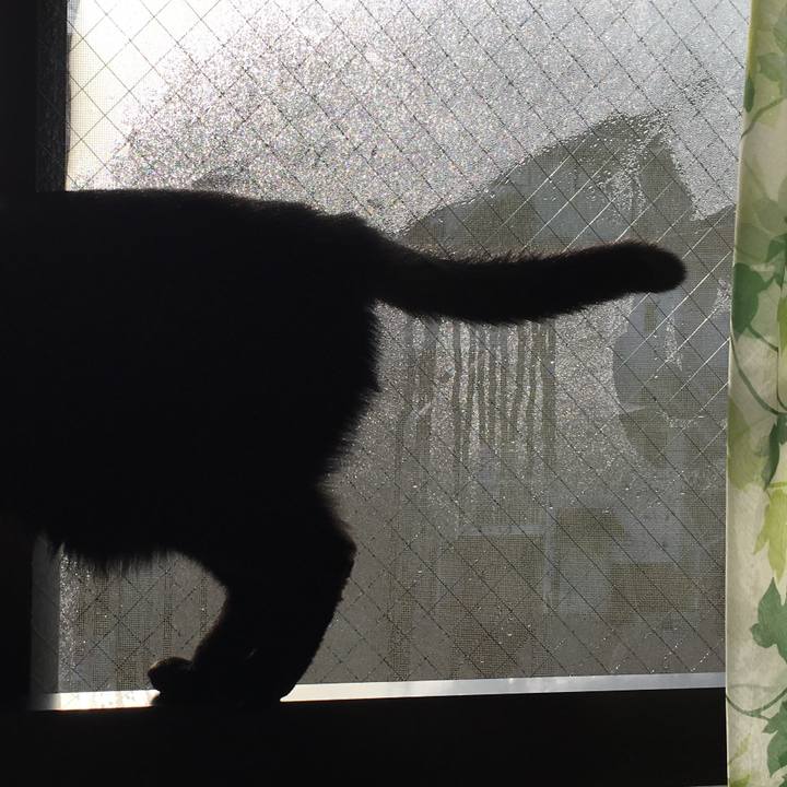 Aab52841 8b0c 441e a415 ca37a202c7ad 1519428715004