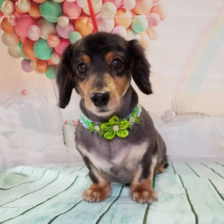 Aab5403c e42a 4c70 9d59 c5388b651134 1561240381226