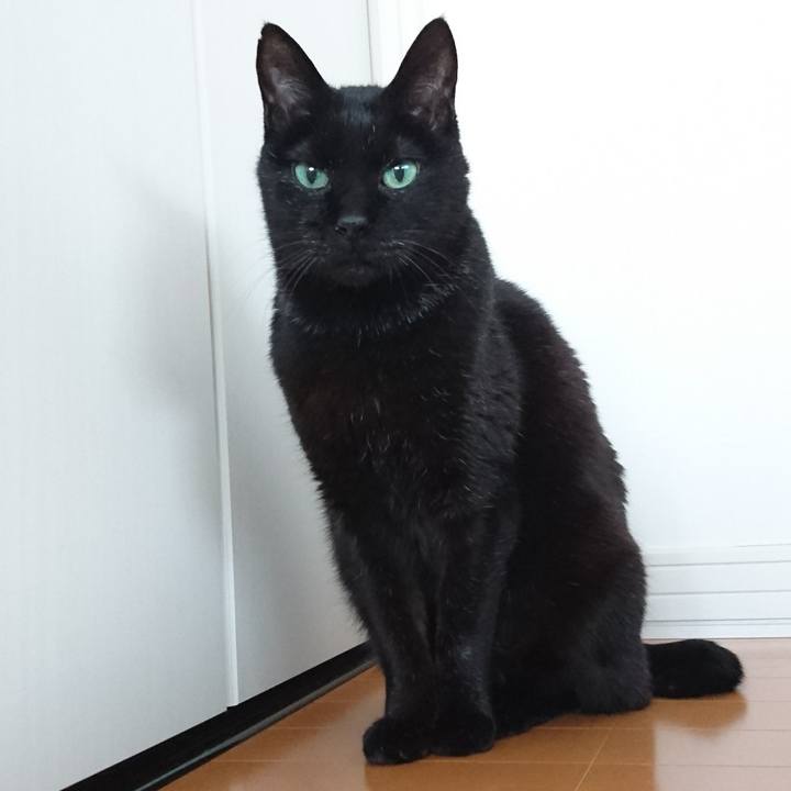 Aab543ba a161 41af ba04 0e7490e094ff 1547854978297