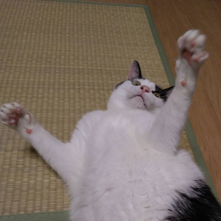 Aab5638c 46ba 4b22 a21b fb1b9eb085fb 1532087355613