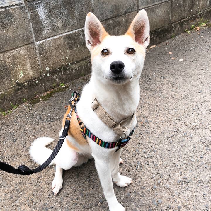 Aab58312 060f 4048 b127 d38a0f0f0a43 1590412770039