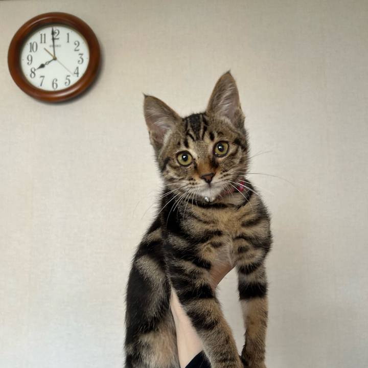 Aab58918 be0d 4706 9f0c 43d18a869d27 1728688385566