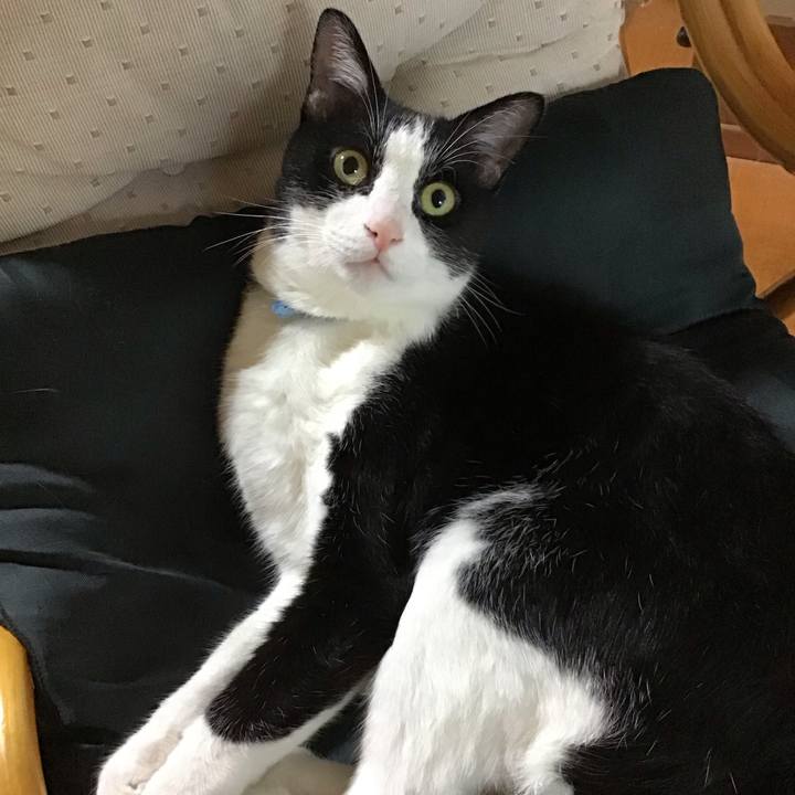 Aab58e67 8f3e 4ba3 87aa 3c7e5eb432da 1720688123506