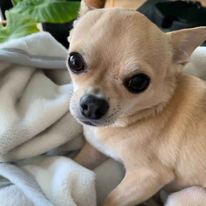 Aab5b483 4dc4 4768 99fa 729e86bae1d5 1612587324089