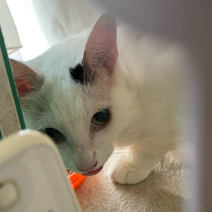 Aab5d649 3905 49f6 813f 8bb5f89a370b 1755730222567