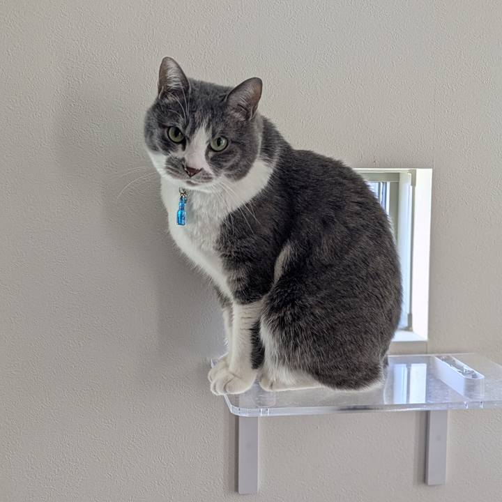 Aab5fd7e abeb 45b8 8434 752efa88b4ac 1771639652262