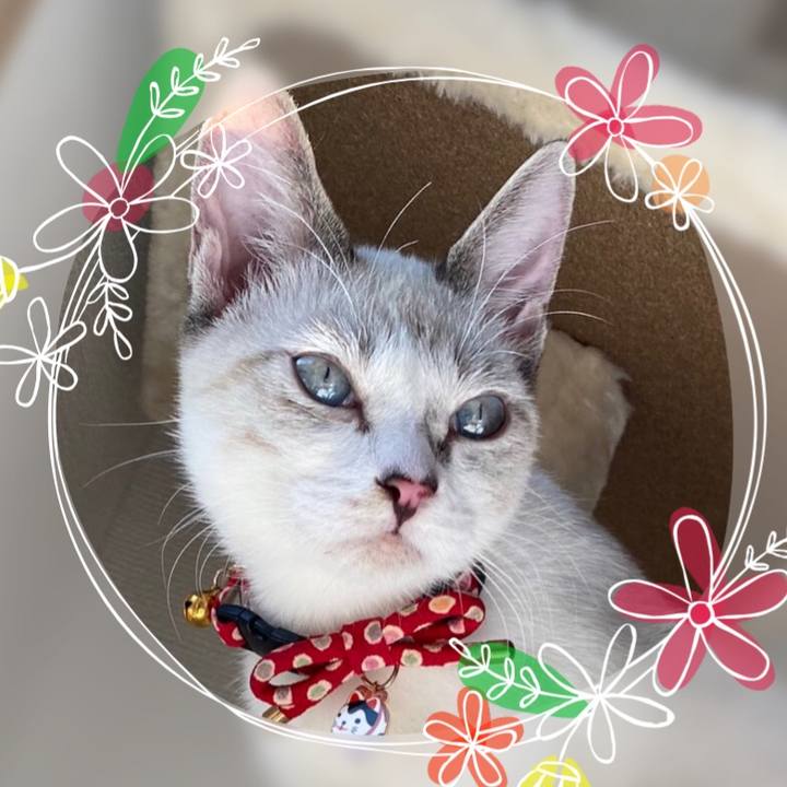 Aab60483 6860 463d 8d7f e3a40b0ab59f 1605181137054