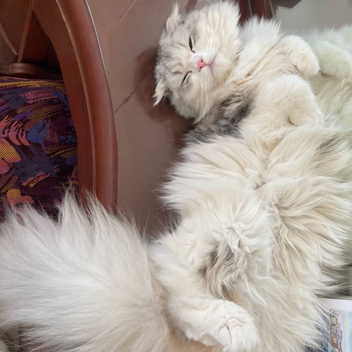 Aab66235 0a28 47e6 b694 37d2e6883ea3 1615614703182