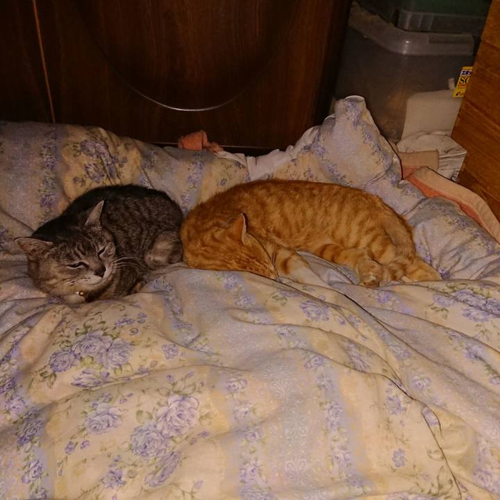 Aab68462 5e89 44fb b216 fed7d9b91d67 1590672187642