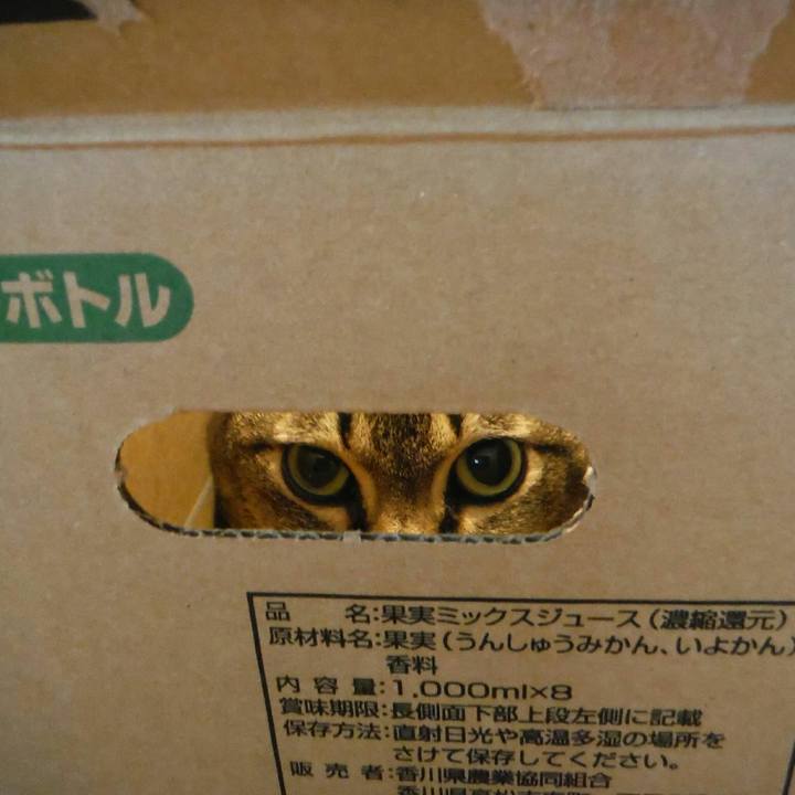 Aab69304 f08f 4d58 a41b 260e340001eb 1518757867742