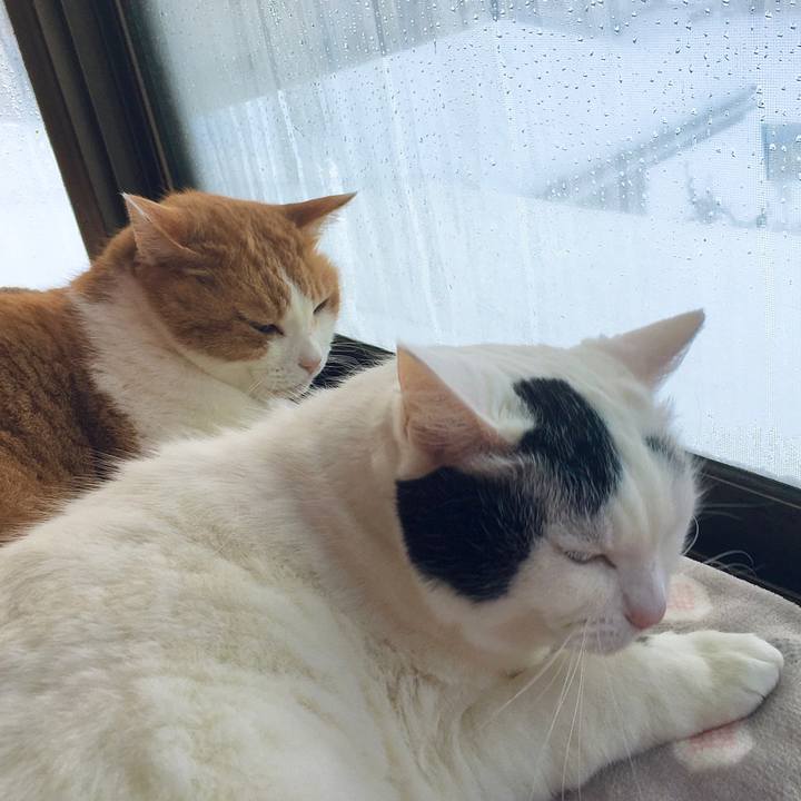 Aab697ee a113 45d6 914c 80ea04ce59db 1609408702695