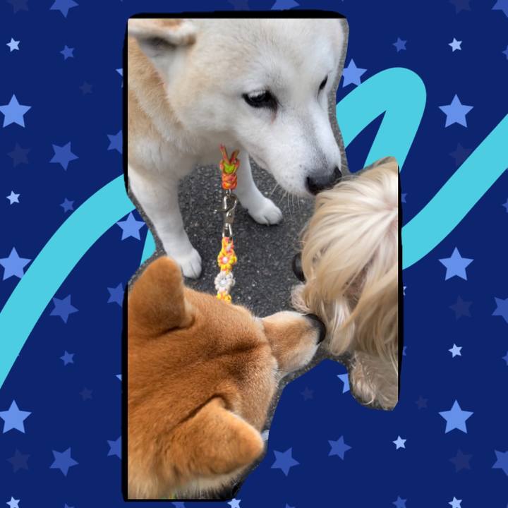 Aab6eb82 3a25 43e5 baa3 cf633dcf20cf 1644449778858