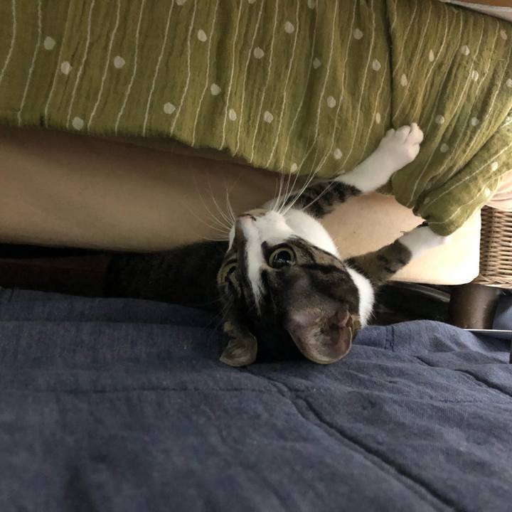 Aab6feae 51df 4582 ba2a f0ac19f047a1 1558880785251