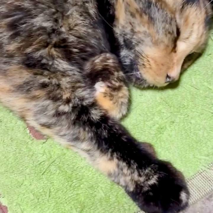 Aab70dcf 5408 4275 9a69 6a9159f02b5e 1755314404954